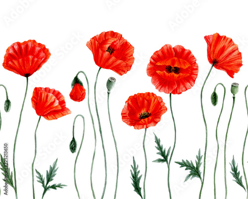 Fotografie Seamless border -Watercolor Poppies