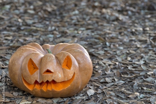 orange halloween pumpkin with notch, crushable photo