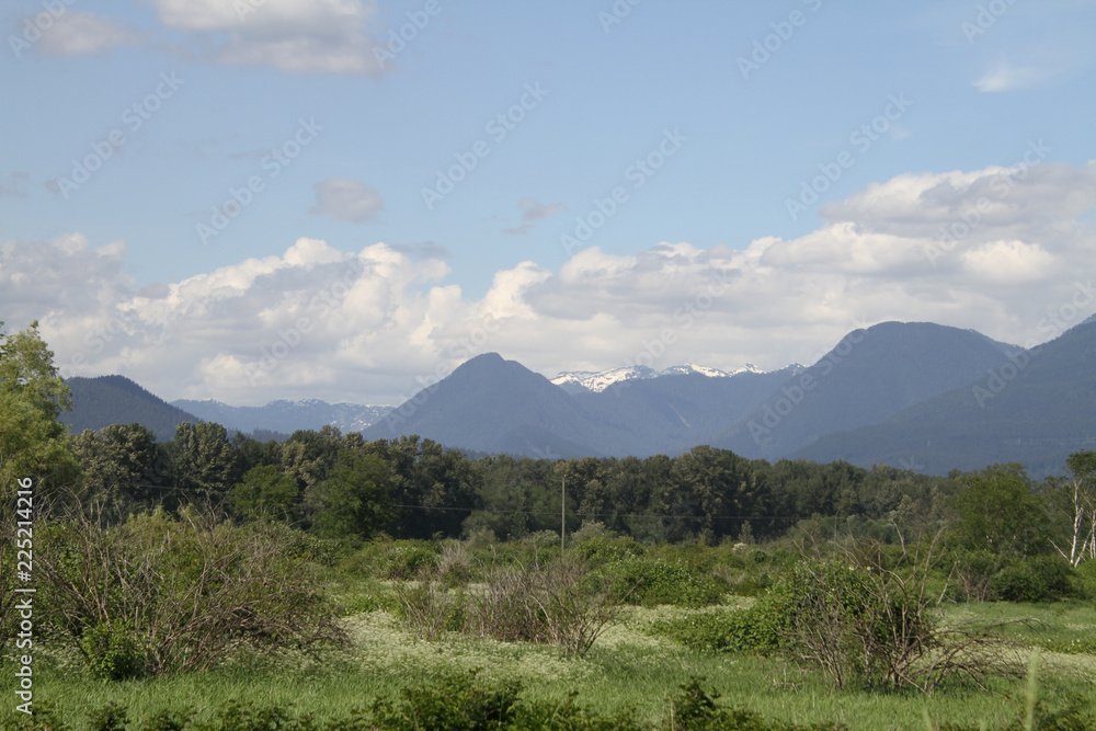 Fototapeta premium A picture of a meadow with mountains in the background.