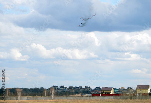 The performance of the Strizhi aerobatic team on the multi-purpose highly maneuverable MiG-29 fighters over the Myachkovo airfield photo