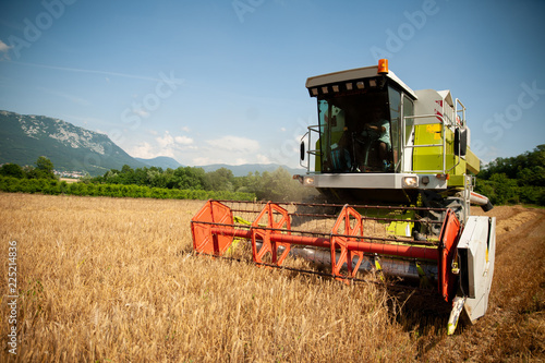 combine harvesting grain  on a hot summer afternoon - agriculture .