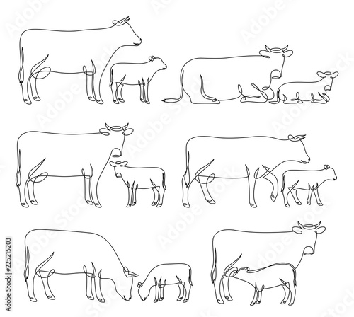 Continuous line drawing of cows and calves
