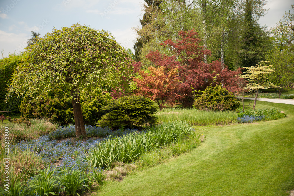 Naklejka premium Flowering rock garden in spring. Different bushes and flowers blooming over rock formations in park