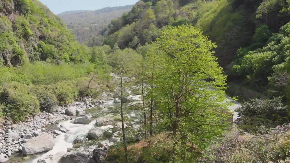 wild river flowing at a rough green terrain wild river flowing at a rough green terrain