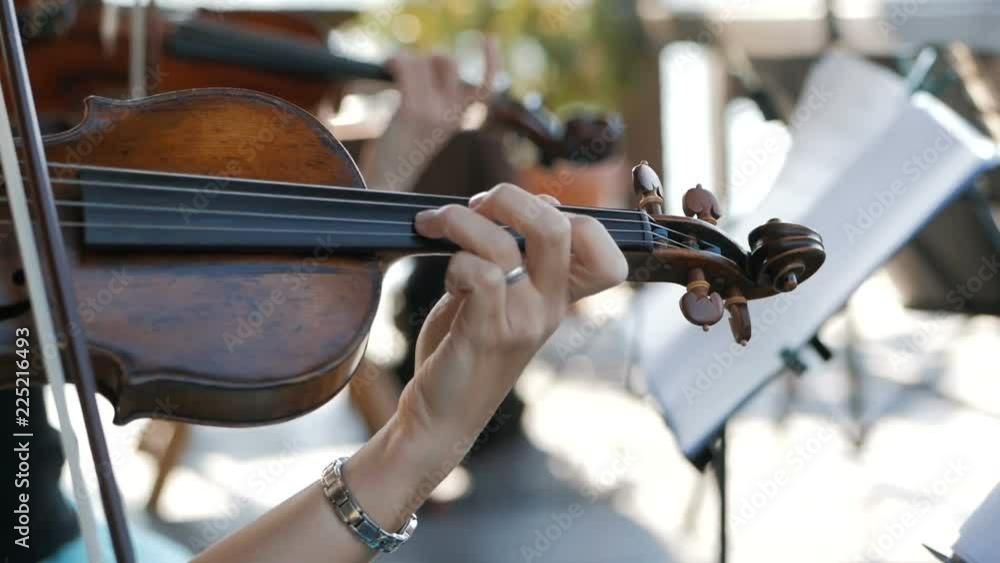 Girl plays the violin at the wedding celebration