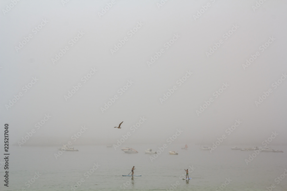 Stand Up Paddle surf in the fog