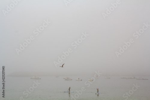 Stand Up Paddle surf in the fog
