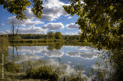 teichlandschaft photo