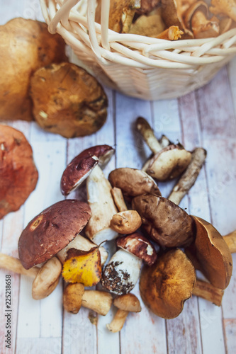 Mushrooms on the table, flat lay , autumn, mushroom background top view , porcini and brown cap boletus