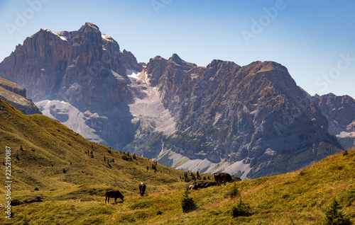 Mountains around Madonna di Campiglio, Trentino, Italy 