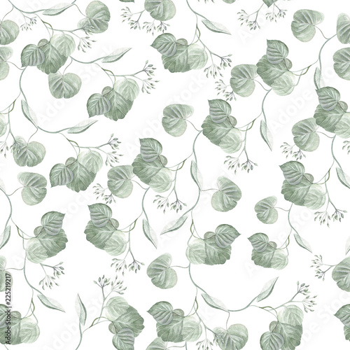 Beautiful watercolor  eucalyptus leaves.