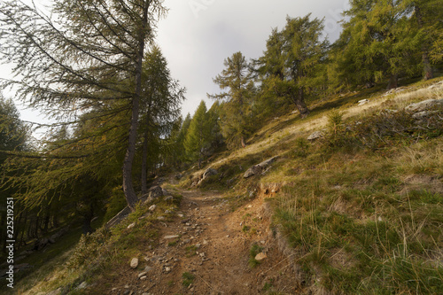 percorrendo un sentiero di montagna a inizio autunno