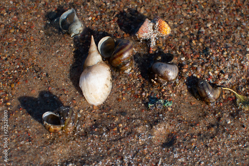 Fototapeta Naklejka Na Ścianę i Meble -  pOLAND