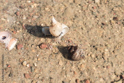 Fototapeta Naklejka Na Ścianę i Meble -  pOLAND