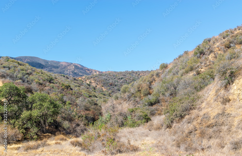 Dry grass and hillsides in early fall sunshine