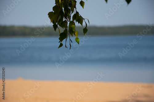 Fototapeta Naklejka Na Ścianę i Meble -  NATURE