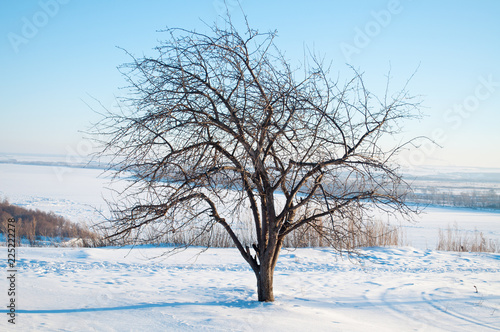 Winter landscape, Snowdrifts, winter background for calendar or design