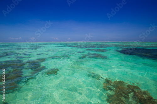 Zanzibar, landscape sea © erainbow