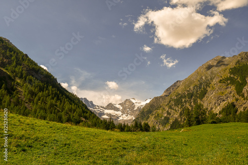 Panorama alpino con campi verdi e montagne con foreste e cime innevate sullo sfondo, cielo blu con nubi in Valle d'Aosta, Alpi Italiane