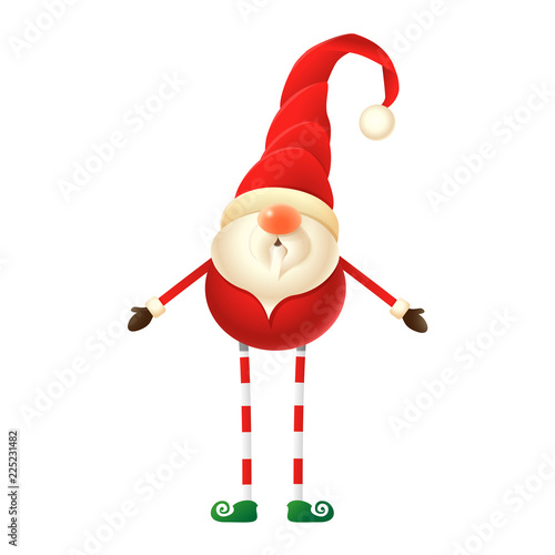 Cute Christmas Gnom illustration