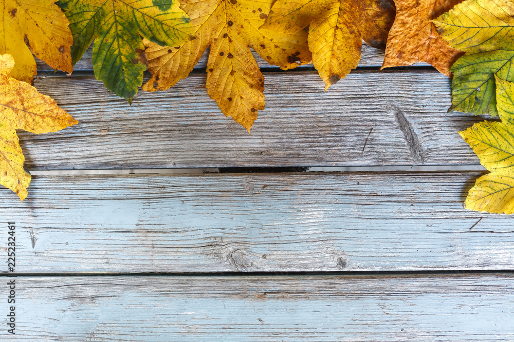 Obraz premium Herbstlicher Hintergrund mit Textfreiraum. Buntes Laub auf blauem Holz. 