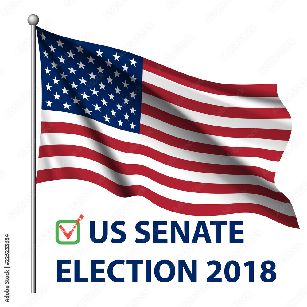 Fototapeta premium 2018 United States elections. US midterm elections 2018: the race for Congress.