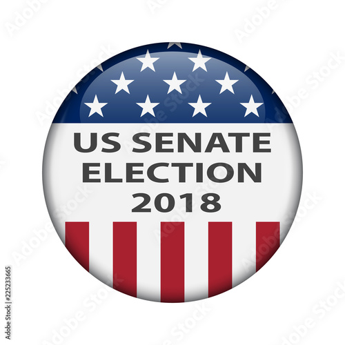 United States elections. US midterm elections 2018: the race for Congress. Election Pin Button, Badge.