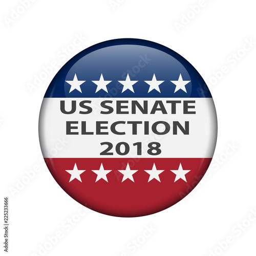 United States elections. US midterm elections 2018: the race for Congress. Election Pin Button, Badge.