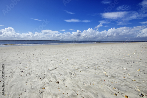 Fotografia The Amelia Island Florida, Fernandina Beach is occupied by wild birds, Florida,