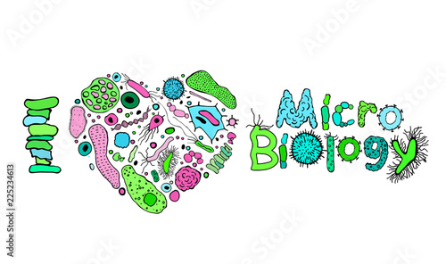 Microbiology Poster Image