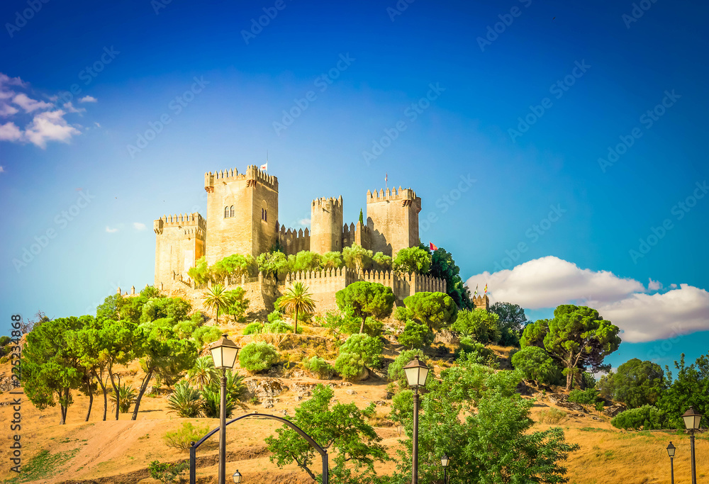 castle of Almodovar del Rio at summer day, Cordoba, Spain, toned