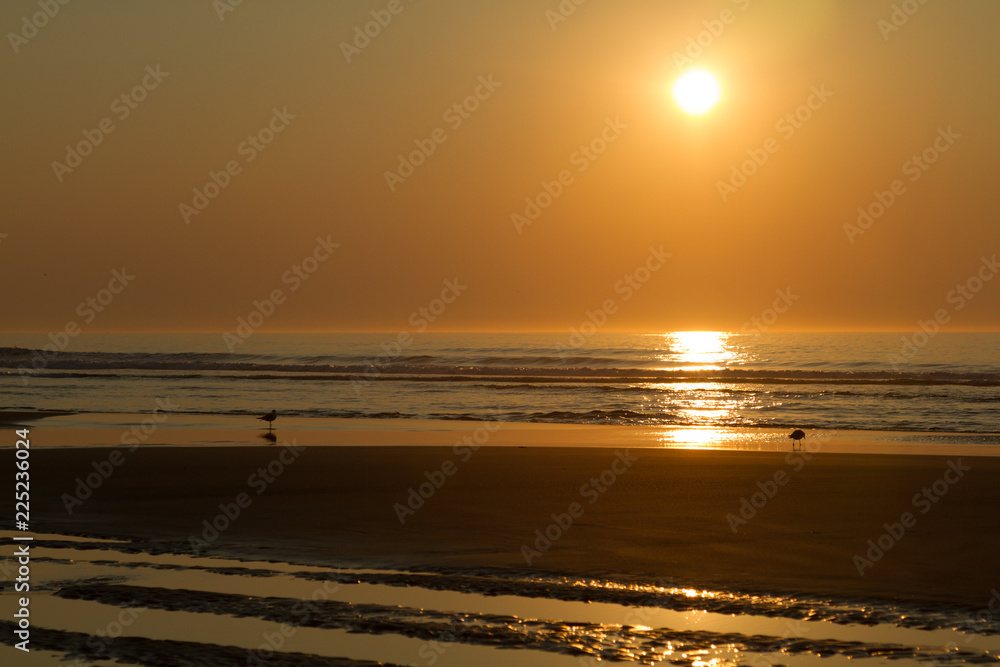Fototapeta premium Sunrise at Ogunquit, Maine