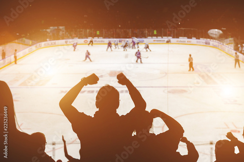 fans on the hockey match photo