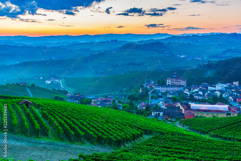 Vineyards in  the Province of Cuneo, Piedmont, Italy