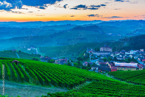 Vineyards in the Province of Cuneo, Piedmont, Italy