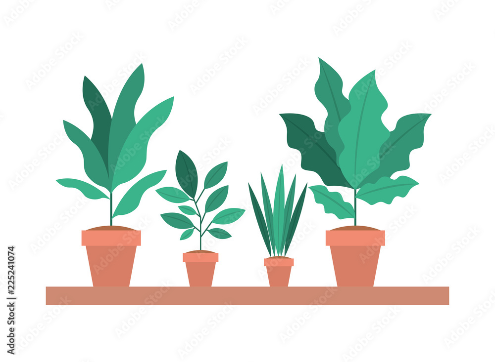 Fototapeta premium shelf with houseplants in pots