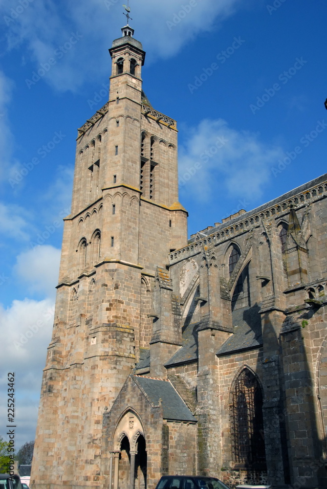 Ville de Dol de Bretagne, cathédrale Saint-Samson (XIIe-XIIIe), département d'Ille et vilaine, Bretagne, France