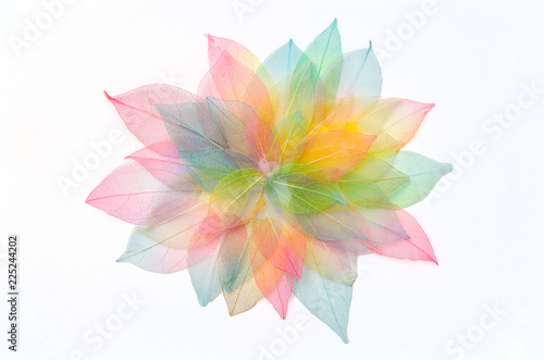 Colored leafs. Leaf texture pattern. Macro leaves background texture. Floral Design. Leaves. Rainbow colors.