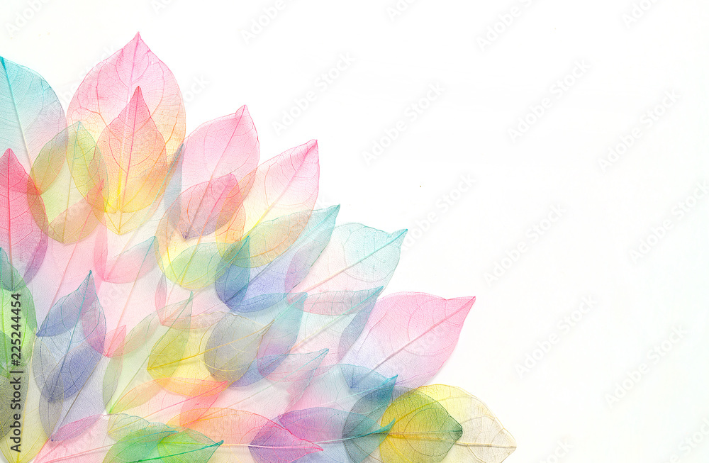 Colored leafs. Leaf texture pattern. Macro leaves background texture.  Floral Design. Leaves. Rainbow colors. Stock Photo | Adobe Stock