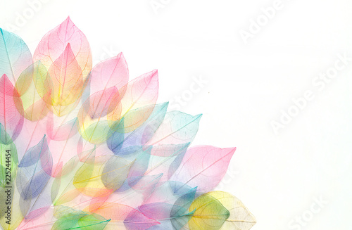 Colored leafs. Leaf texture pattern. Macro leaves background texture. Floral Design. Leaves. Rainbow colors.