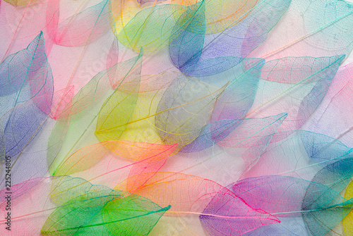 Colored leafs. Leaf texture pattern. Macro leaves background texture. Floral Design. Leaves. Rainbow colors.
