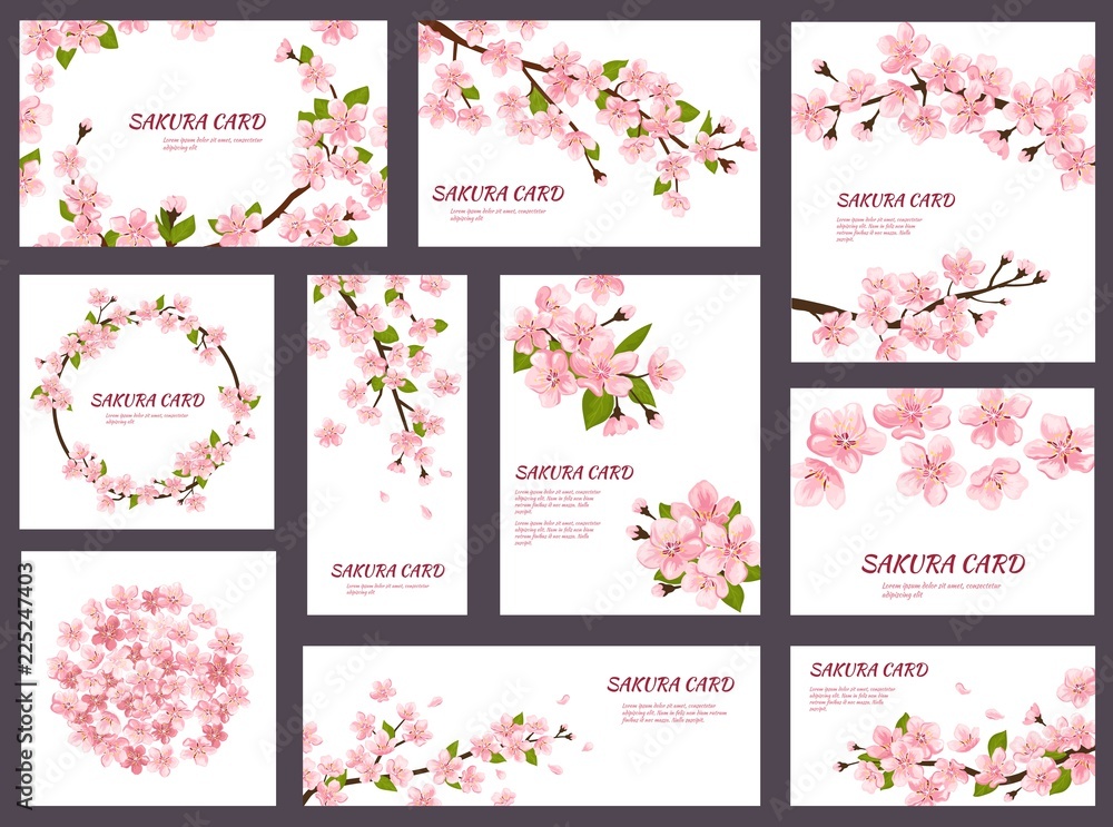 Fototapeta premium Sakura wektor kwiat wiśni kartki z wiosennych róż kwitnących kwiatów ilustracja japoński zestaw zaproszenia ślubne kwitnienia szablonu dekoracji na białym tle