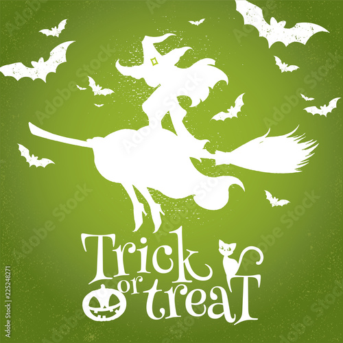 Trick or Treat. The pretty witch flies on a broom with a black cat against the background of the full moon. Vector illustration. The Halloween greeting concept.