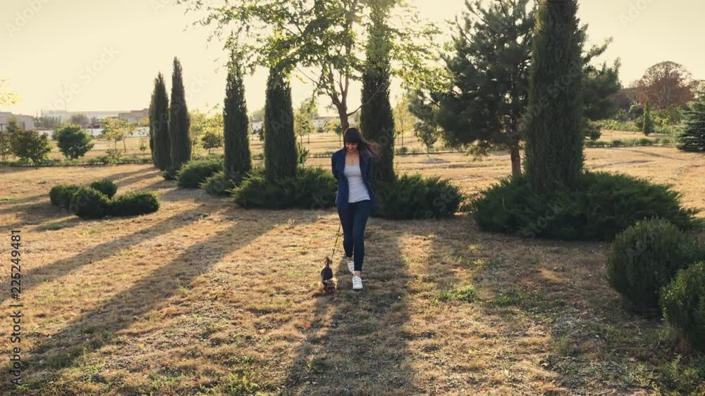 Young pretty girl is walking with her Yorkshire terrier in the park at sunset. Young pretty girl is walking with her Yorkshire terrier in the park at sunset.
