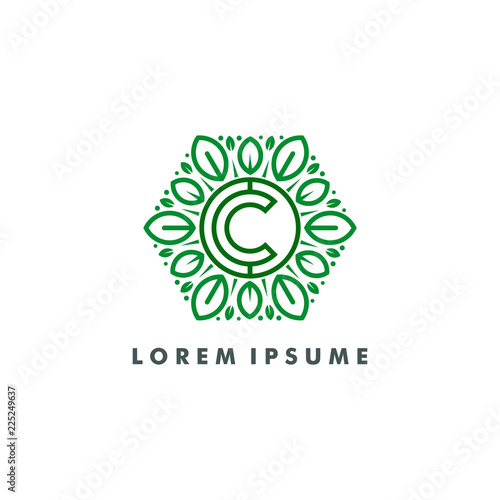 green leaf eco logo template vector illustration
