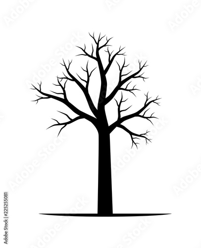 Naked tree vector