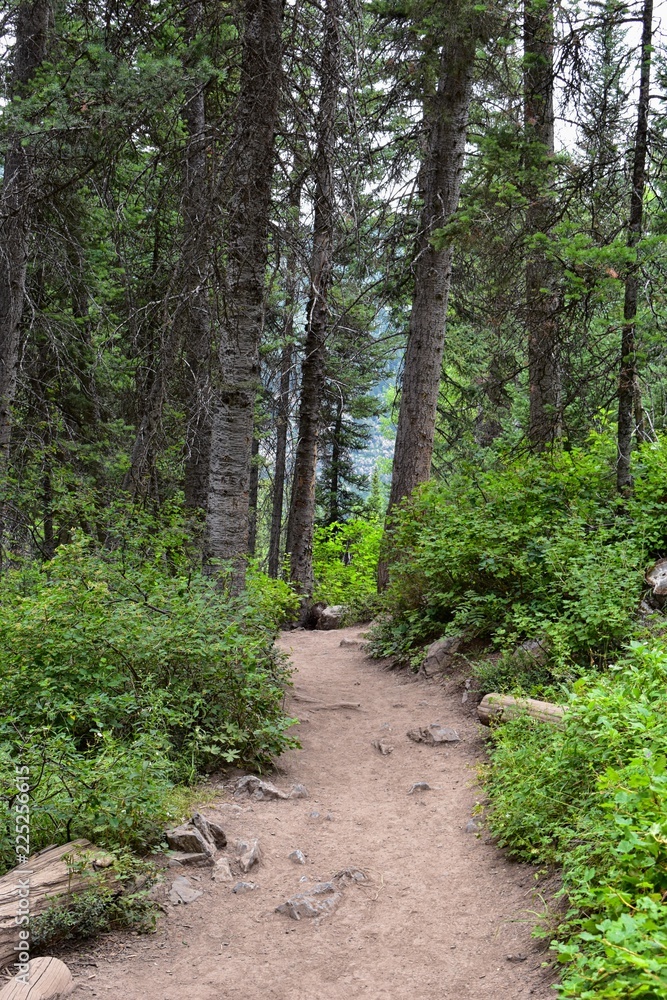 Mountain panoramic views from hiking trails to Doughnut Falls in Big Cottonwood Canyon, in the Wasatch front Rocky Mountains, Utah, Western USA.