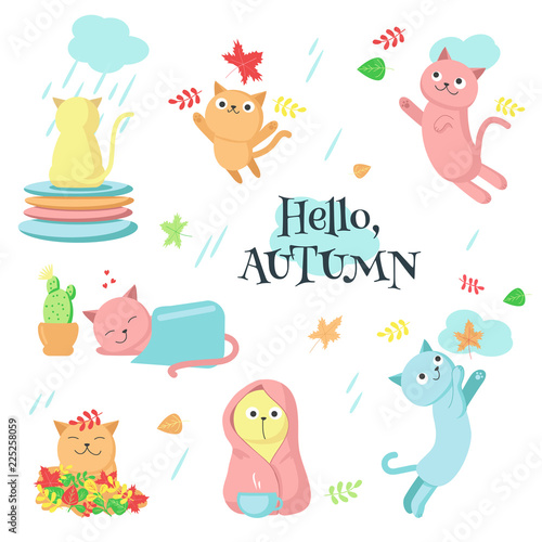 Autumn cat icon set vector isolated illustration