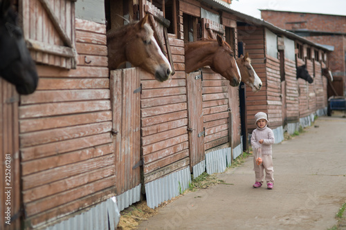 Little Girl feeds the horses