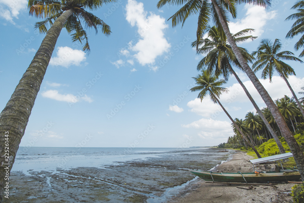 Obraz premium Coconut or Palm Tree, Cloudy Sky and Tropical Mud Beach